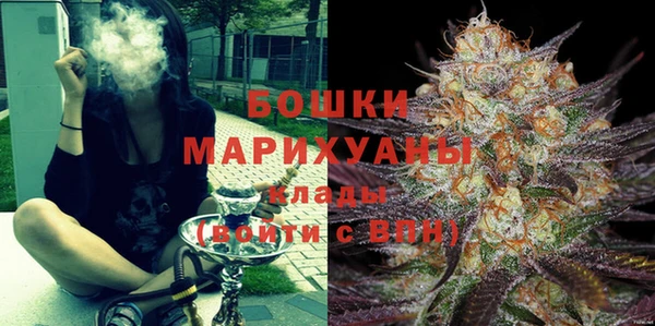 хмурый Белокуриха