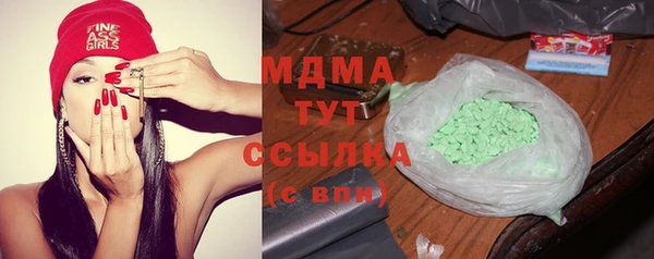 хмурый Белокуриха