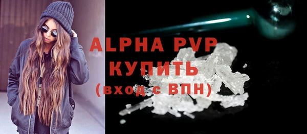 хмурый Белокуриха