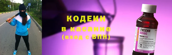 хмурый Белокуриха